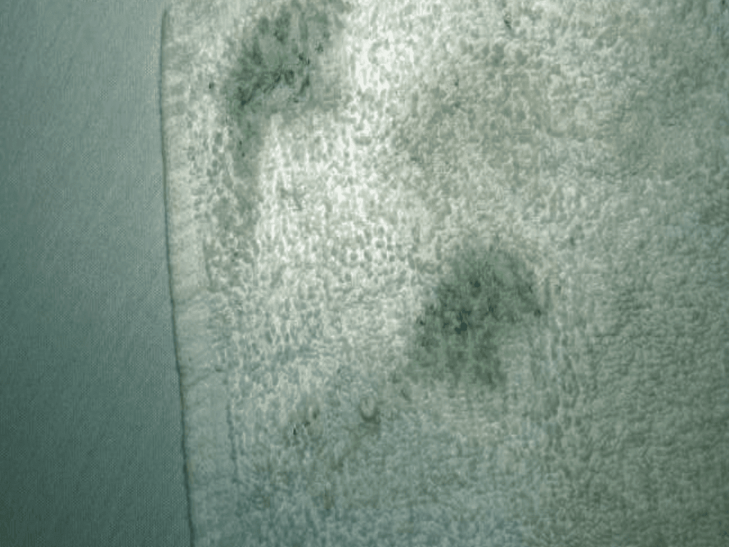 how-to-stop-dye-bleeding-in-carpets-certified-carpet-inspectors-at-fd