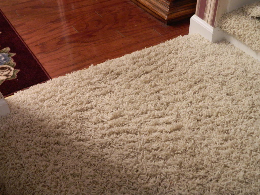 Floor Detective | There are a number of reasons for carpet cornrowing