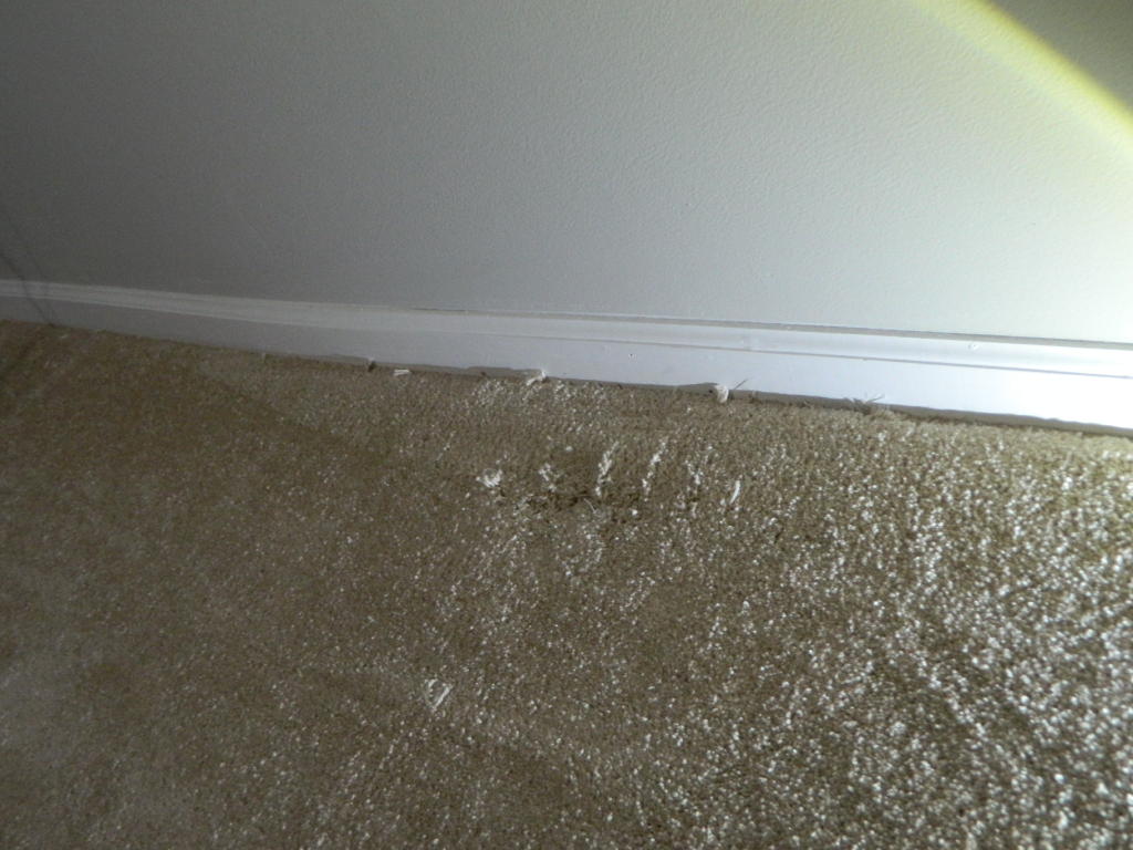 Installation Damage - Floor Detective