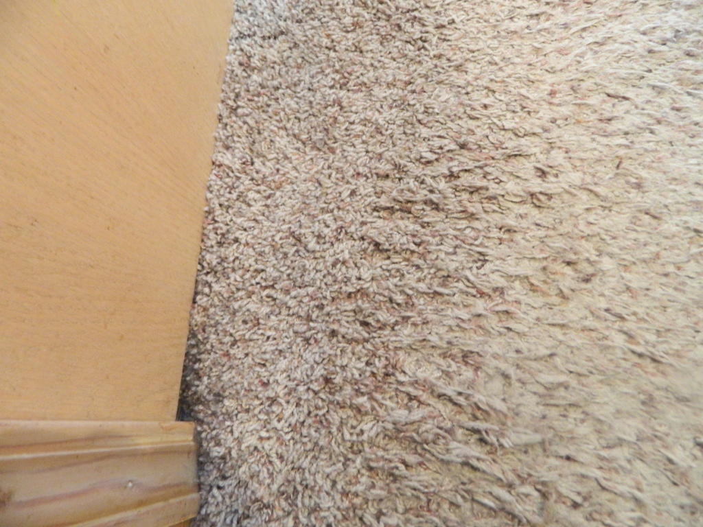 Flooring Inspection: Matting Defect in Carpet | Floor Inspector Near Me